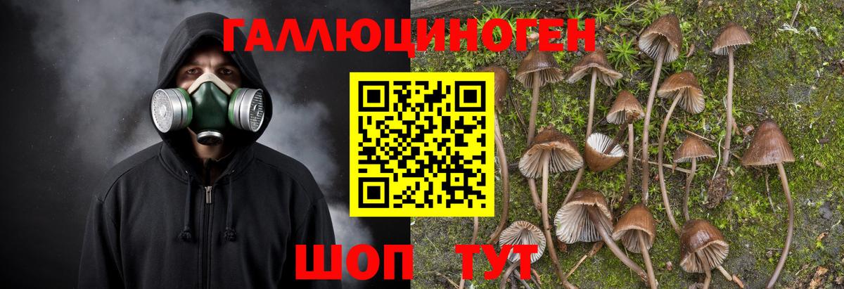 наркошоп  Псилоцибиновые грибы GOLDEN TEACHER  Вход с VPN  Галлюциногенные грибы Psilocybine cubensis  Елабуга 