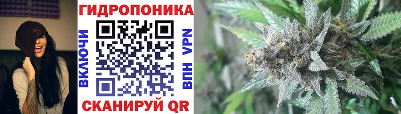 как найти закладки  MEGA сайт  Каннабис гибрид  Елабуга 